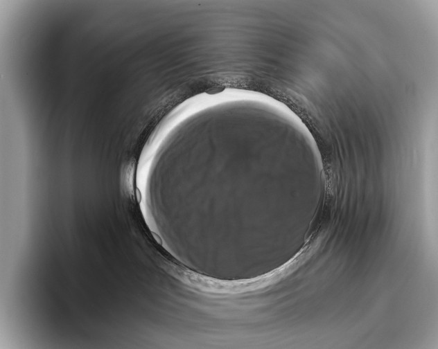 X0000095530047200801111422