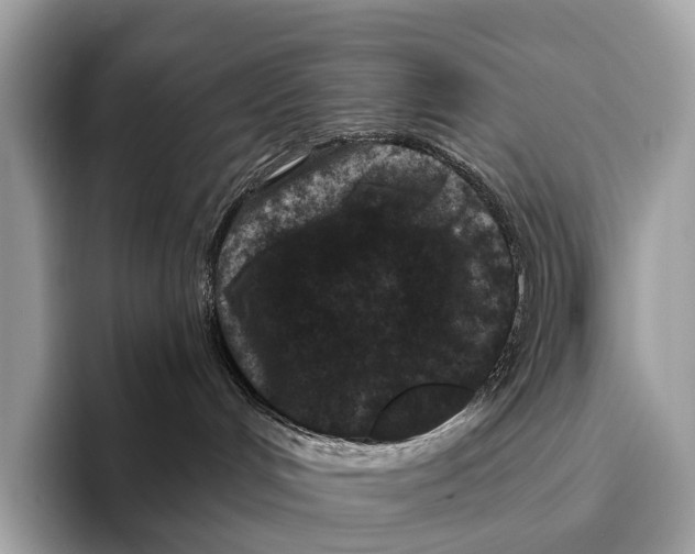 X0000095530048200801111422