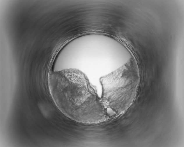 X0000095530049200801111421