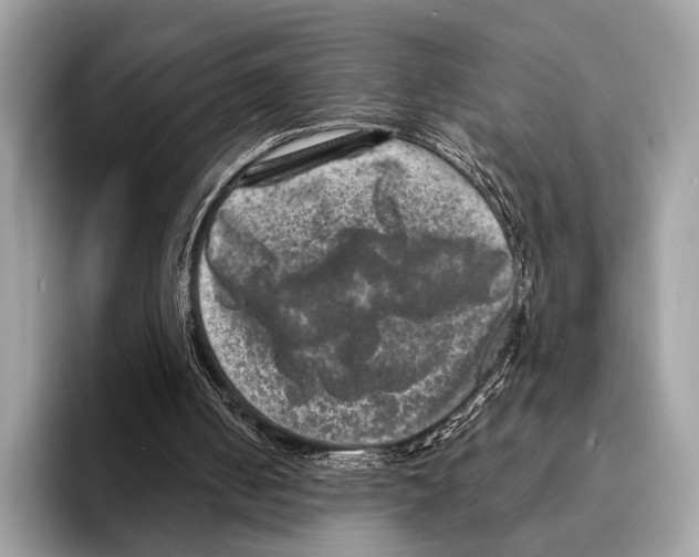 X0000095530050200801111421