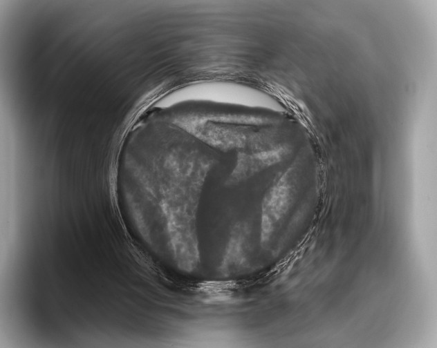 X0000095530051200801111421