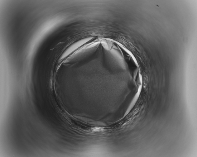 X0000095530052200801111421