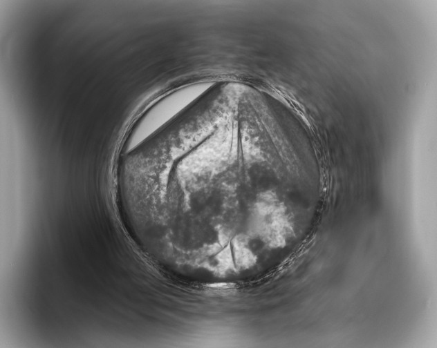 X0000095530053200801111421