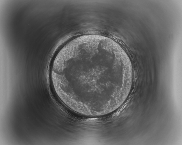 X0000095530054200801111421