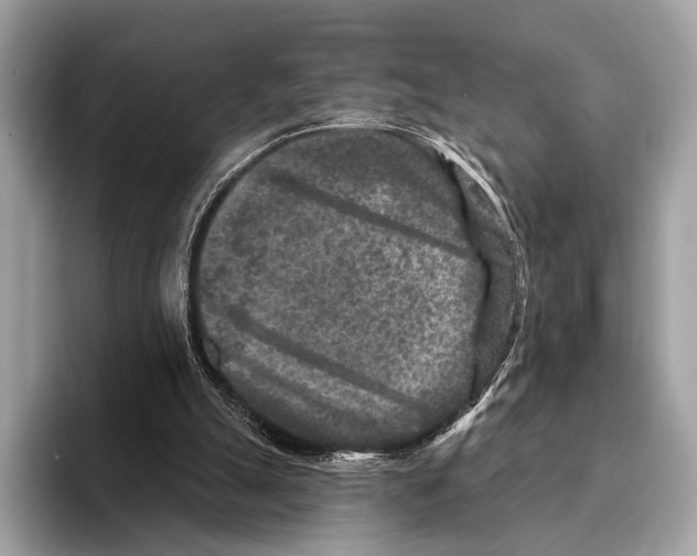 X0000095530055200801111421