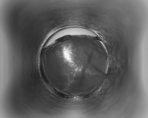 X0000095530056200801111421