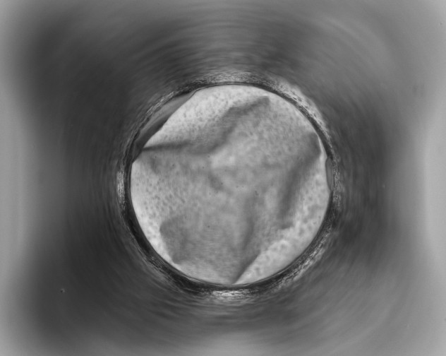 X0000095530057200801111421