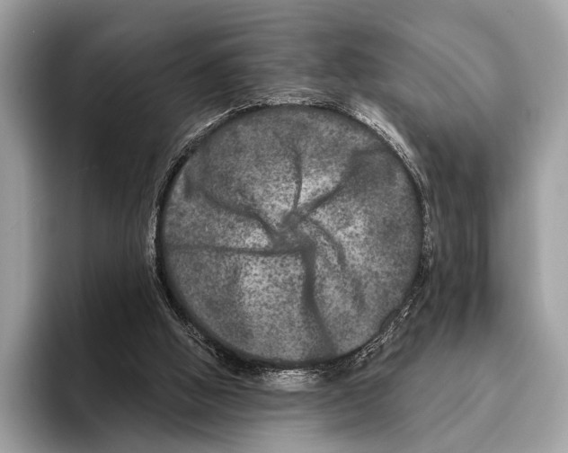 X0000095530058200801111421