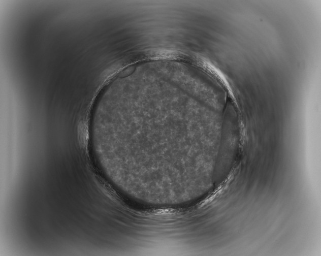 X0000095530059200801111421