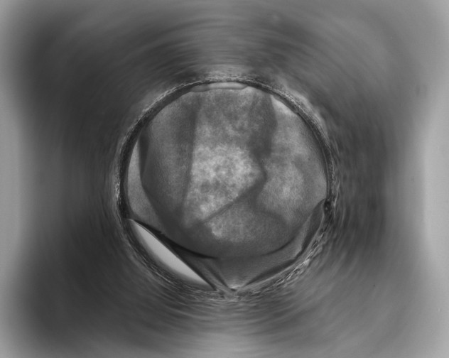 X0000095530060200801111421