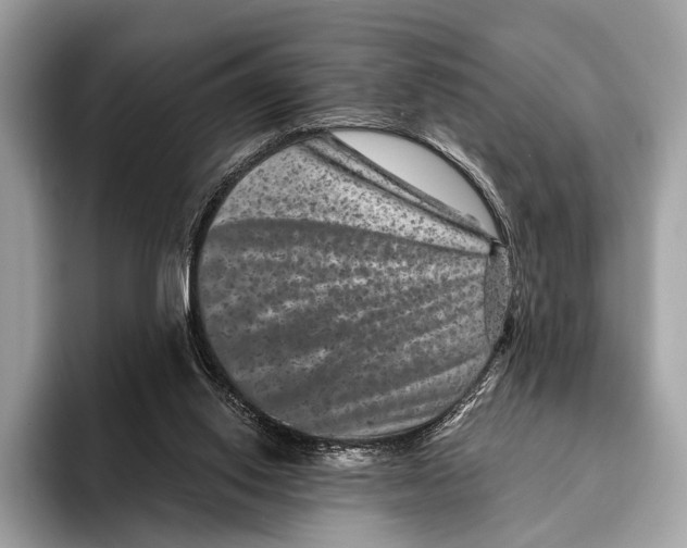 X0000095530062200801111421