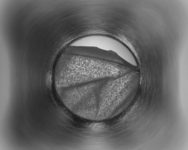 X0000095530063200801111421