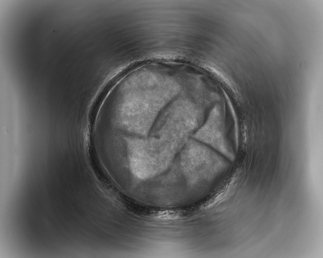 X0000095530064200801111421