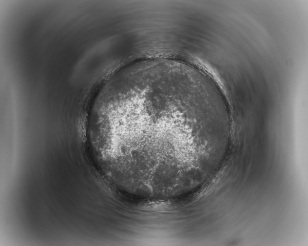 X0000095530065200801111421