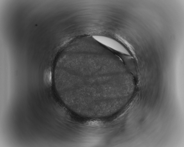 X0000095530067200801111421