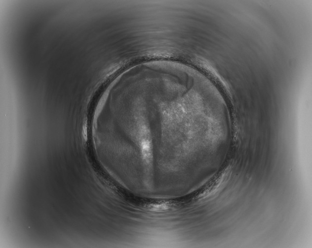 X0000095530068200801111421