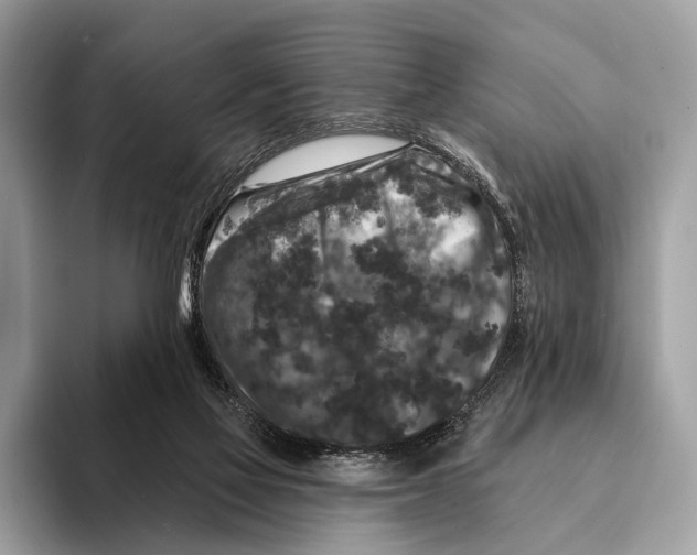 X0000095530069200801111421