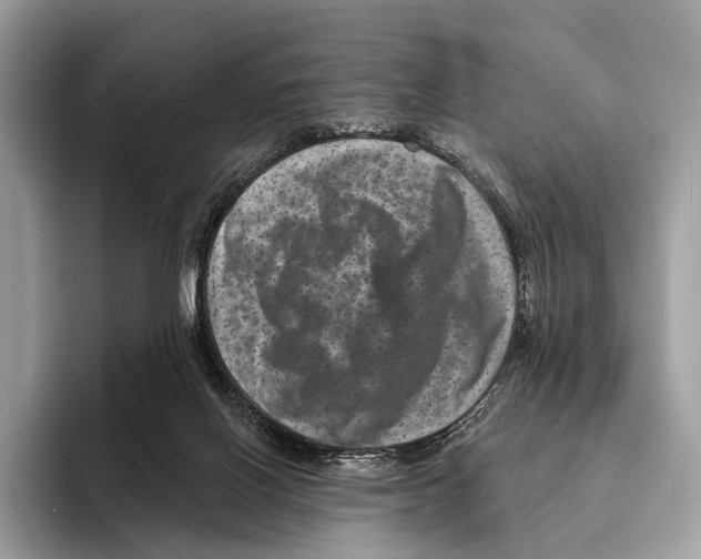 X0000095530070200801111421