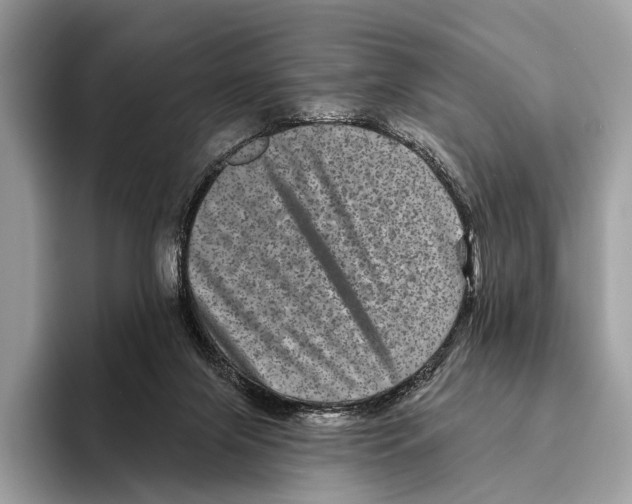 X0000095530071200801111421