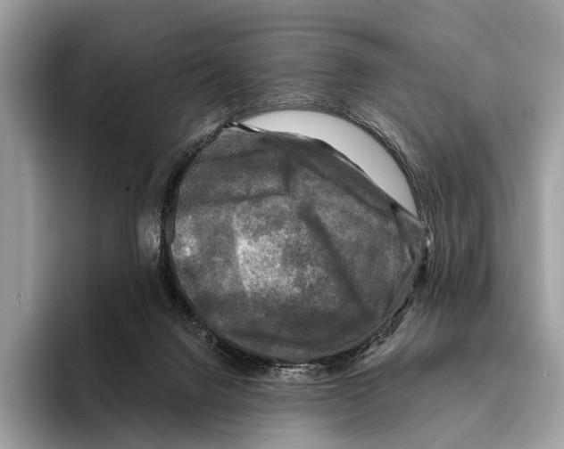 X0000095530072200801111421