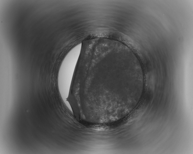 X0000095530073200801111421