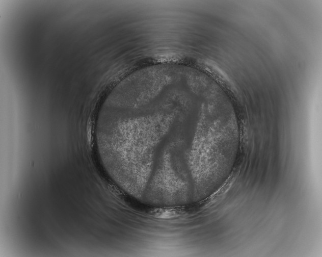 X0000095530074200801111421