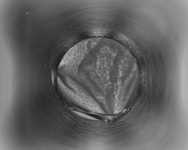 X0000095530075200801111421