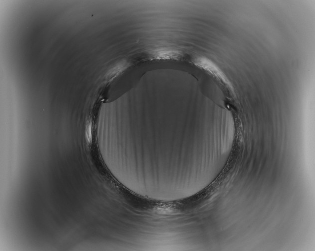 X0000095530076200801111421