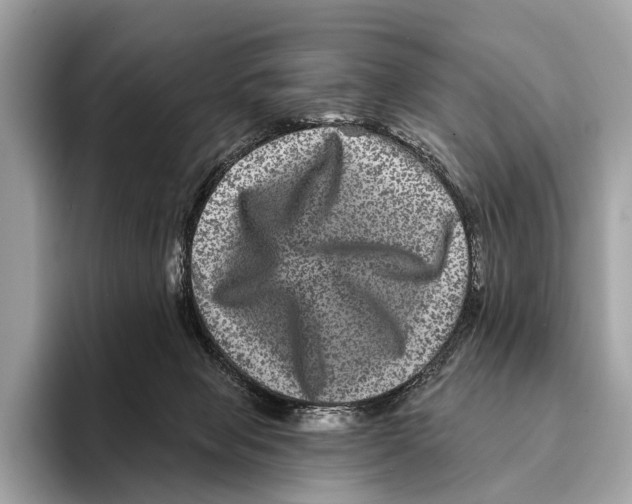 X0000095530077200801111421