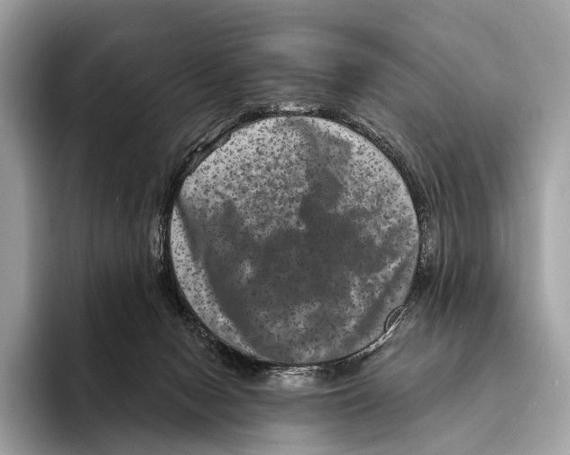 X0000095530078200801111421