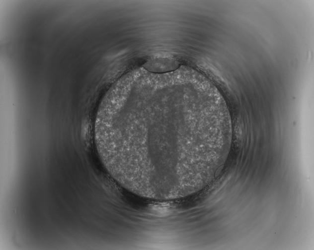 X0000095530079200801111421