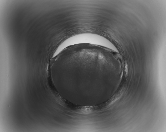 X0000095530080200801111422