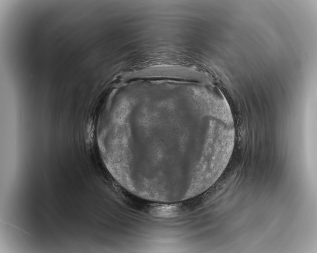 X0000095530081200801111422