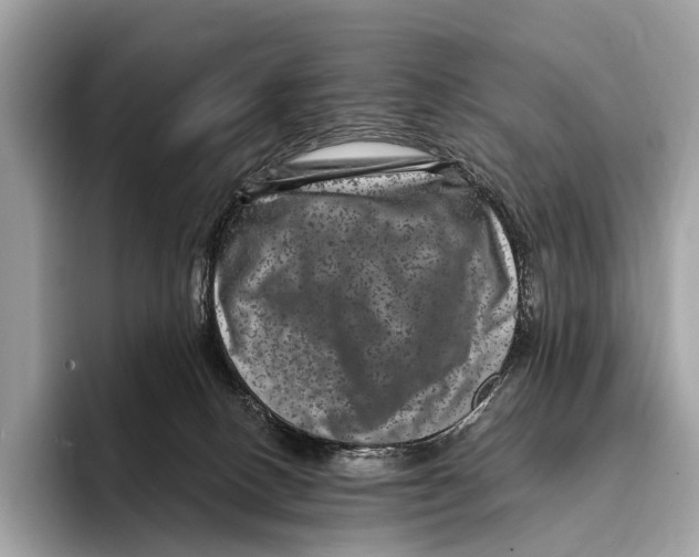 X0000095530082200801111422