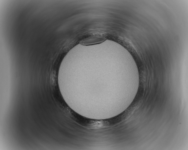 X0000095530083200801111422