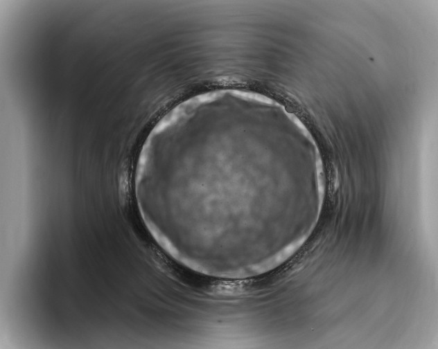 X0000095530084200801111422