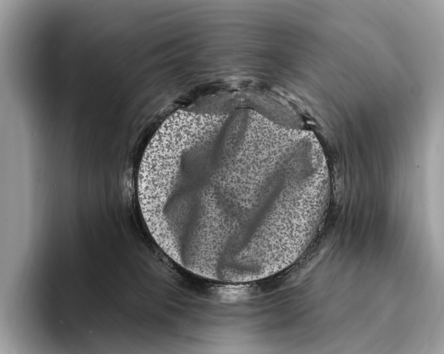 X0000095530085200801111422