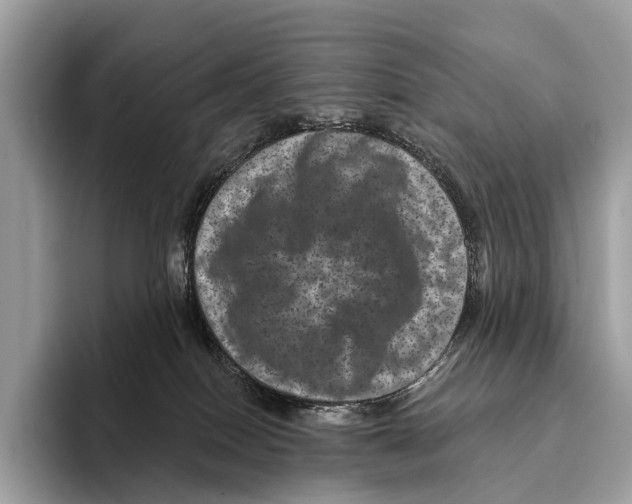 X0000095530086200801111422