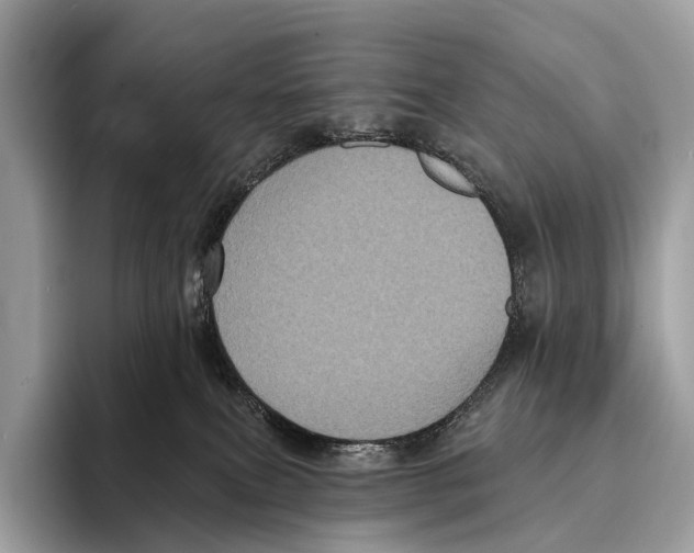 X0000095530087200801111422