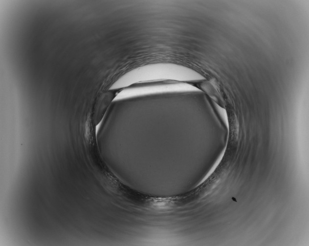 X0000095530088200801111422