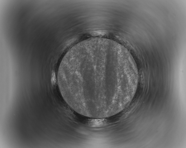 X0000095530089200801111422