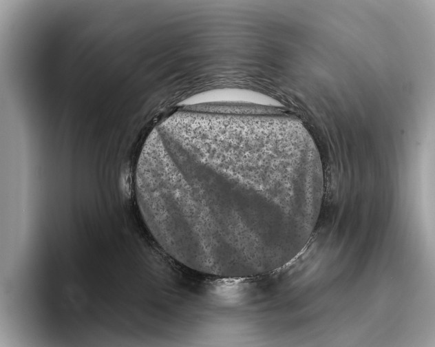 X0000095530090200801111422