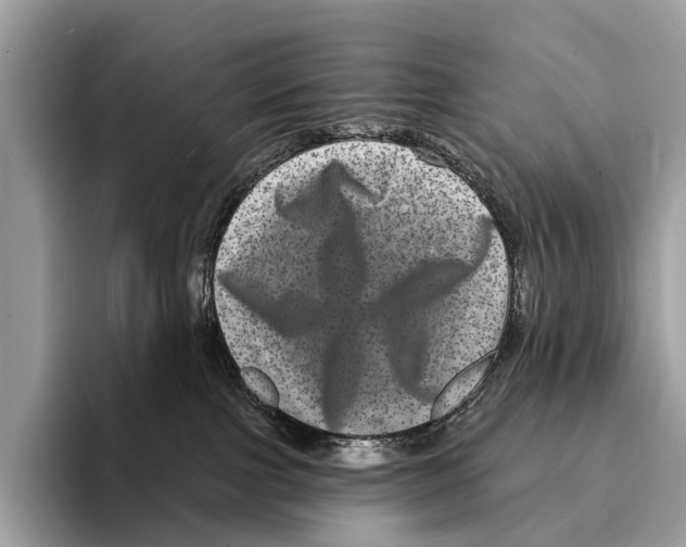 X0000095530091200801111422