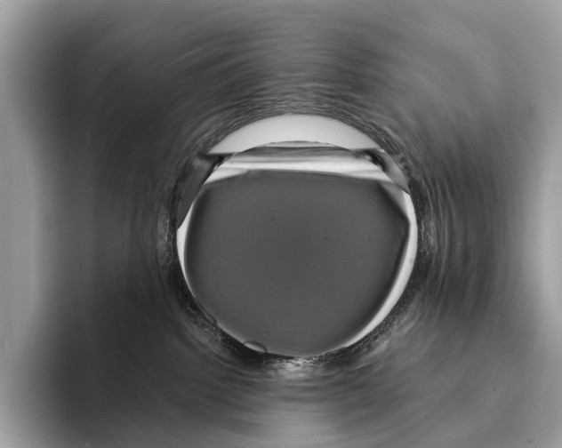 X0000095530092200801111422