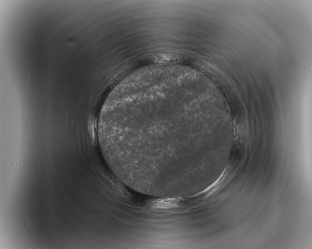 X0000095530094200801111422