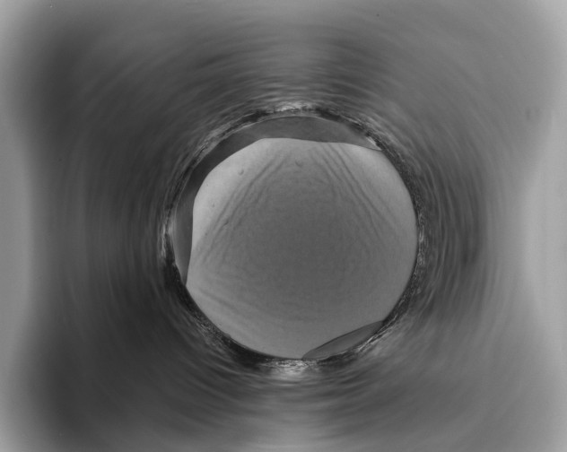 X0000095530096200801111422