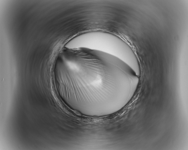 X0000095530097200801111421