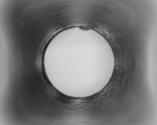 X0000095530098200801111421