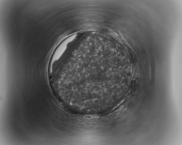 X0000095530099200801111421