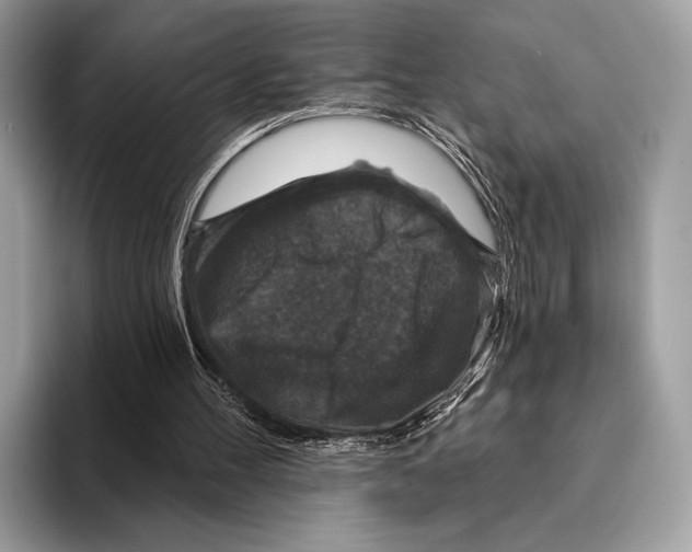 X0000095530100200801111421